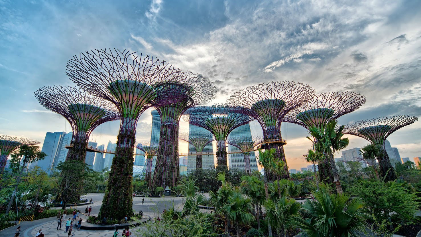 Khu vườn sinh thái đặc biệt mang tên Bay South Gardens by the Bay