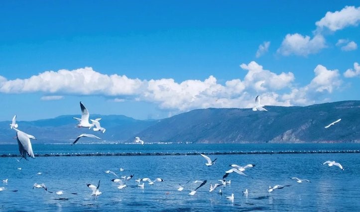 (Seri Charter DR) CÔN MINH - KIỆU TỬ TUYẾT SƠN 2026