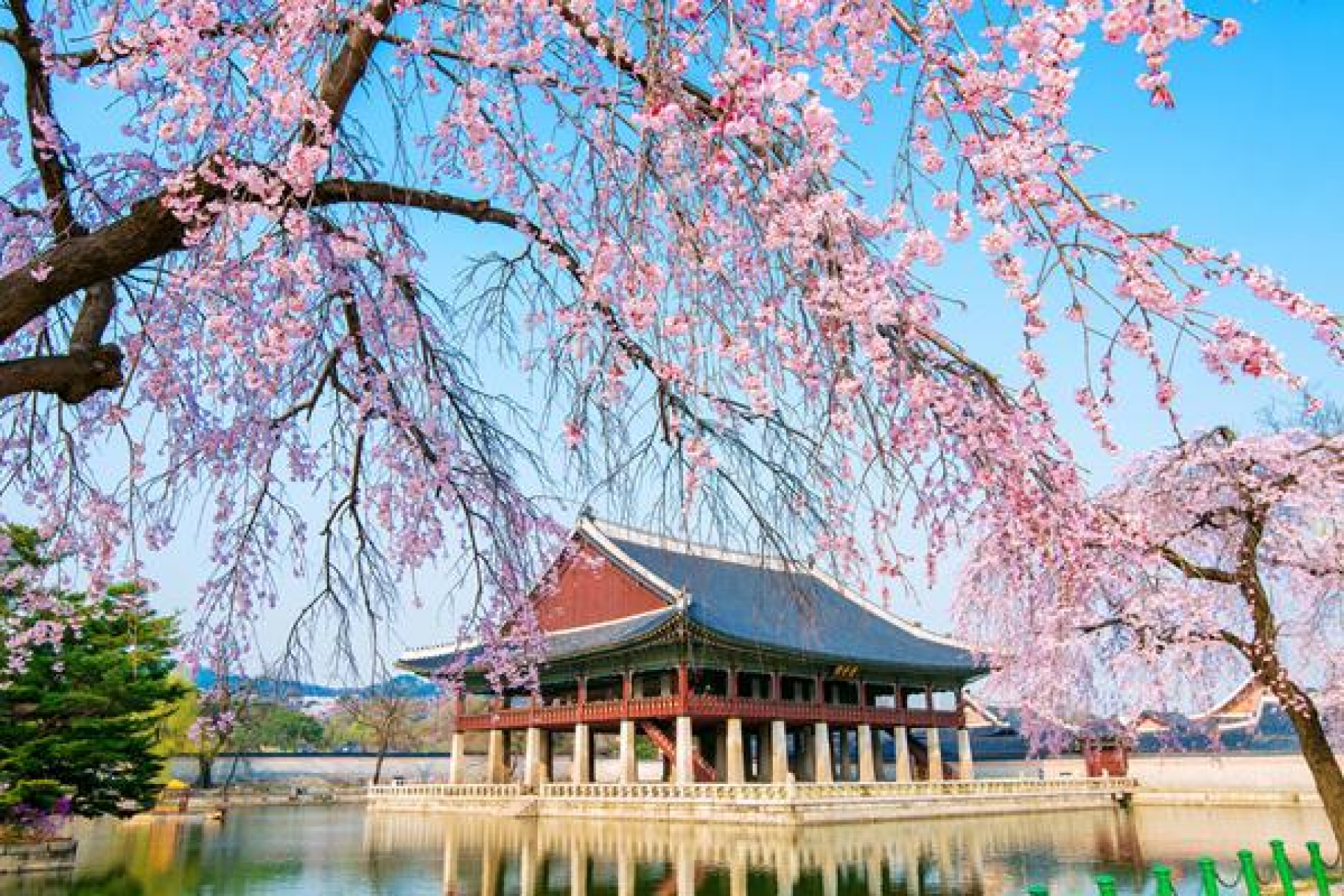 Cung điện Gyeongbok 