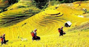 Sapa trekking