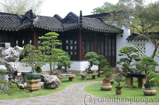 Vườn Trung Hoa – vẻ đẹp quyến rũ