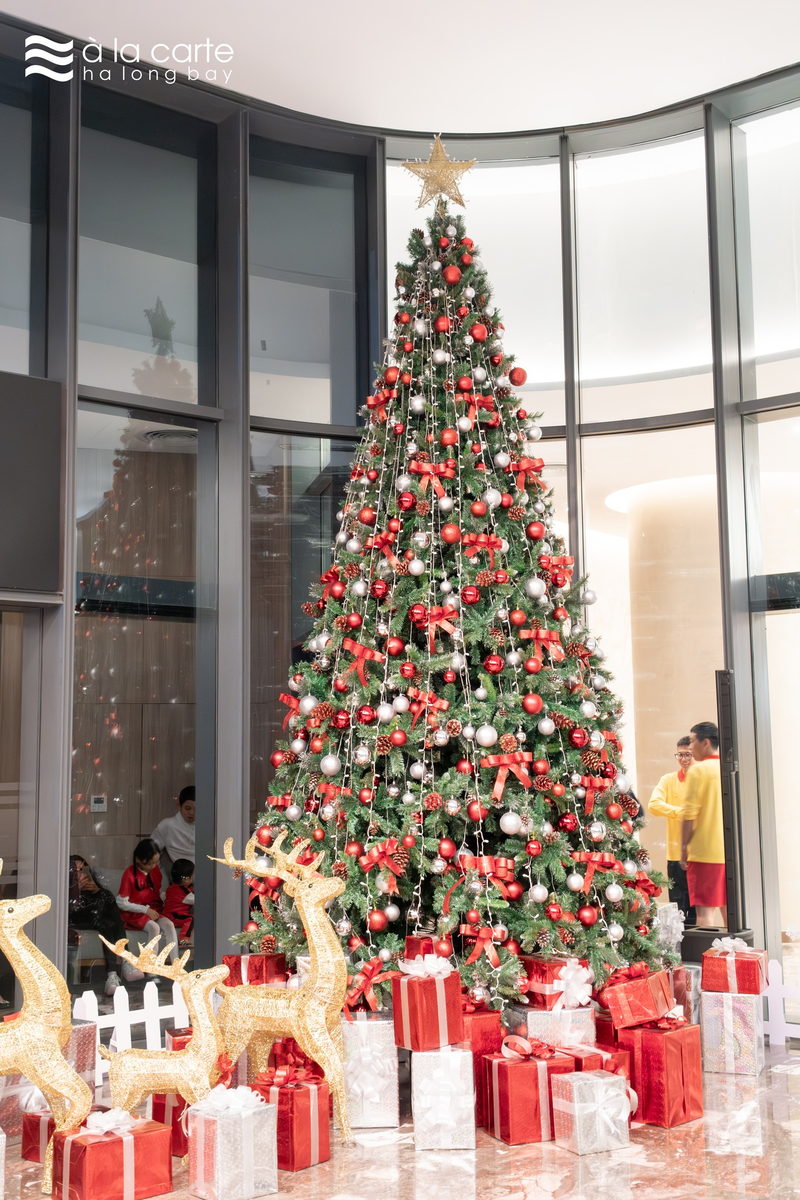 hoạt động Giáng Sinh Hạ Long