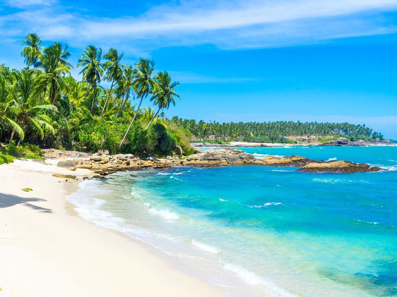 (VN) SRI LANKA – ĐẢO QUỐC NGỌC ẤN ĐỘ DƯƠNG