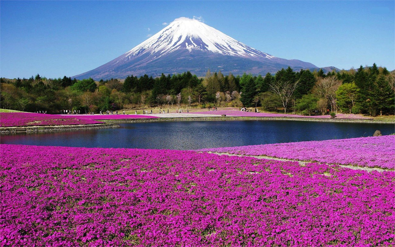 OSAKA – KOBE –KYOTO – NÚI PHÚ SĨ – TOKYO (BAY VN)