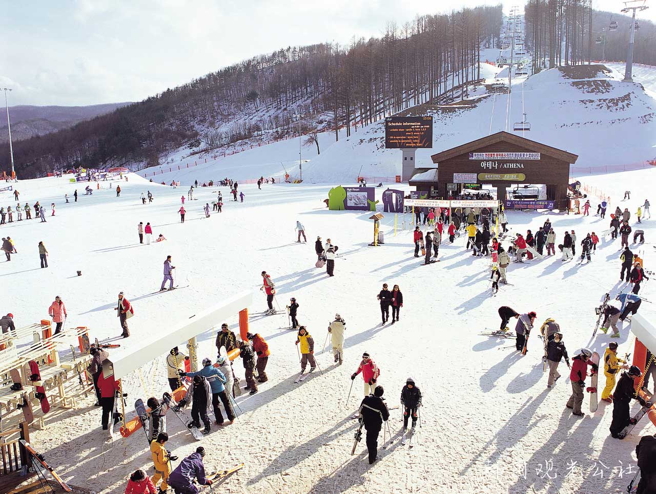 SEOUL –  NAMI -  LOTTE WORLD