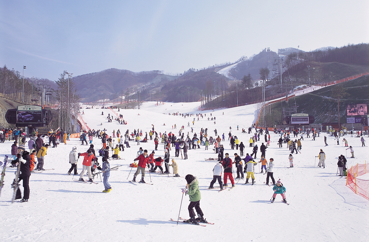 SEOUL –  NAMI -  LOTTE WORLD (Tết Dương)