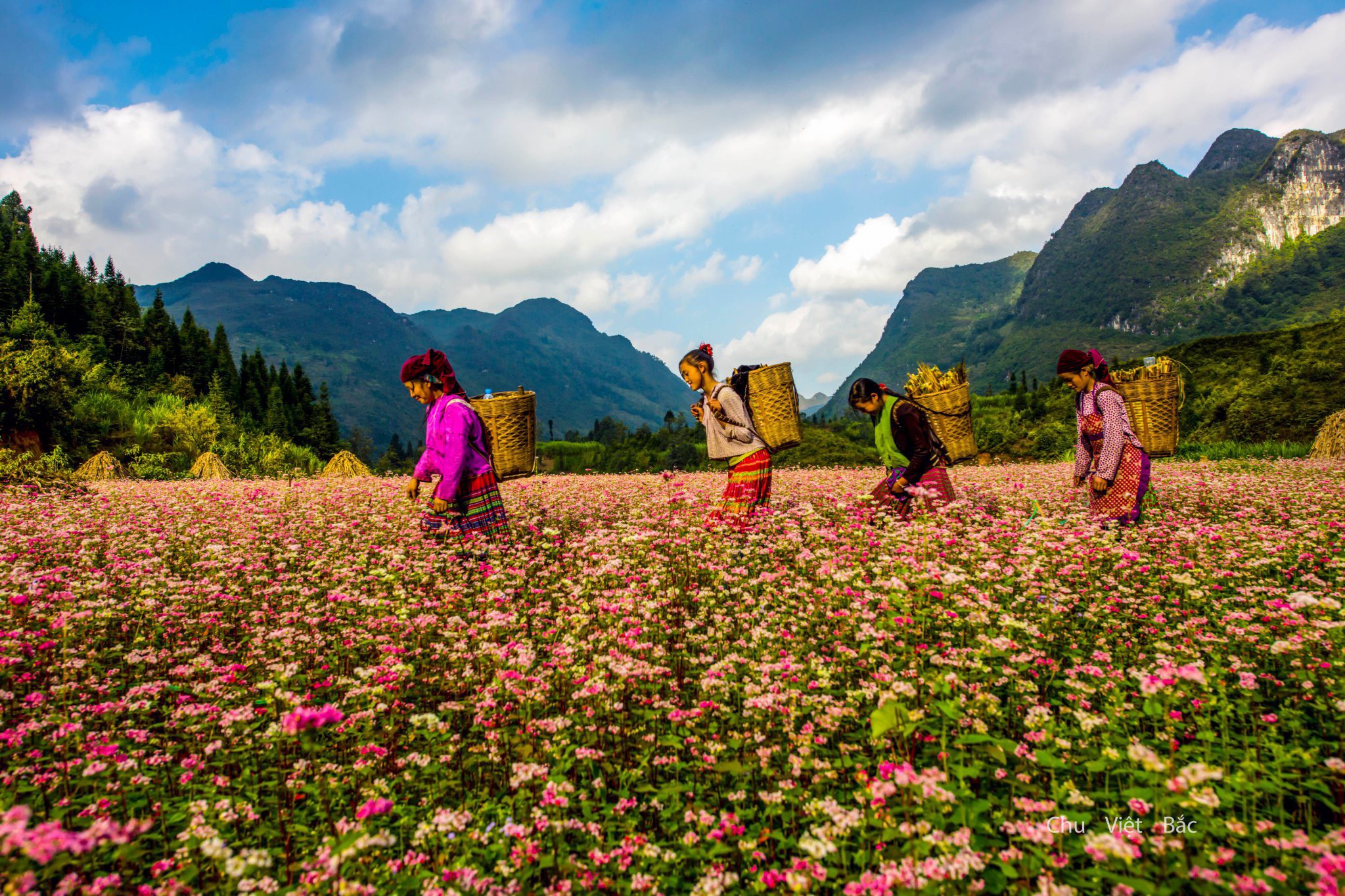 Hà Giang