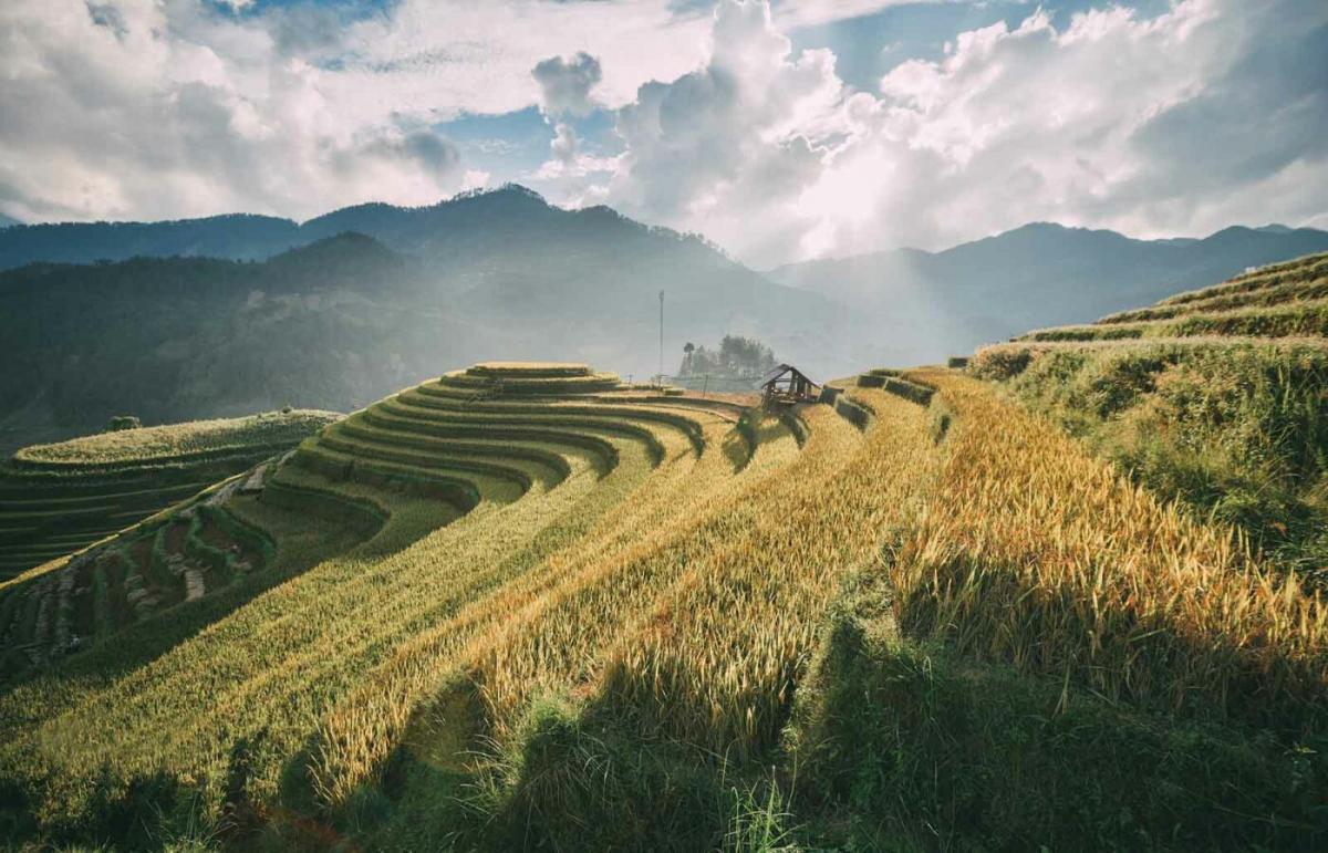 Relaxed in Northern Vietnam