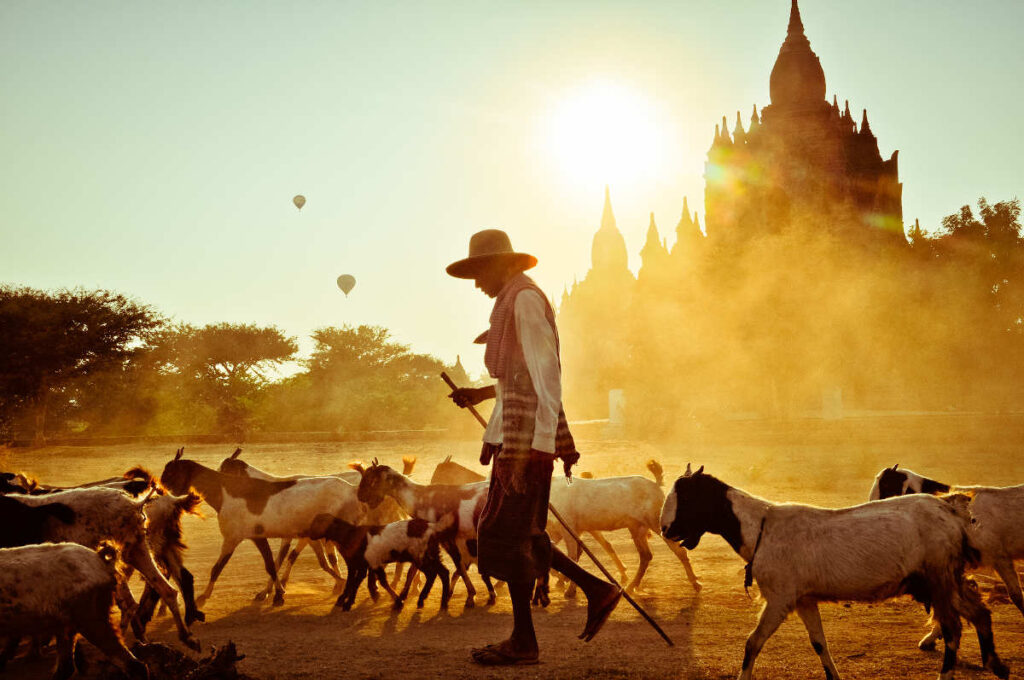 Miracle four (Vietnam, Cambodia, Myanmar, Thailand)